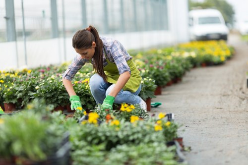 Professional gardening services maintaining a neat West Wickham garden