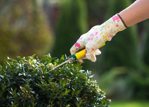 Overgrown garden clearance in West Wickham with waste removal