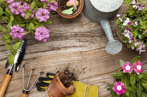 Gardener improving lawn health and garden appearance in West Wickham