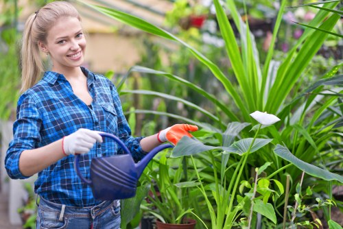 Gardening terms and conditions for a West Wickham service booking