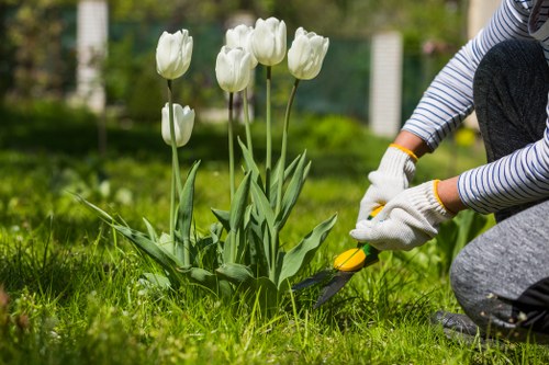 Customer complaint review for gardening services