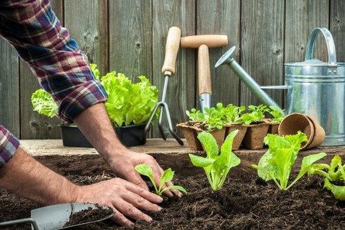 Garden maintenance team assessing a garden for safety