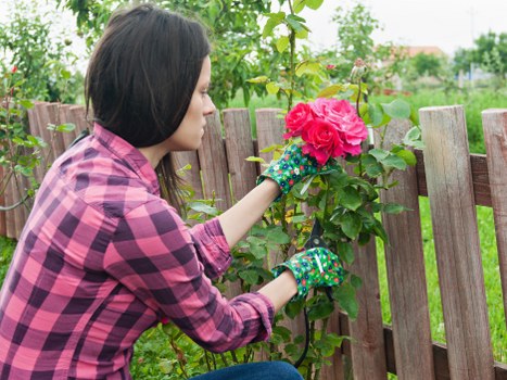 Professional garden maintenance in West Wickham with neat planting areas