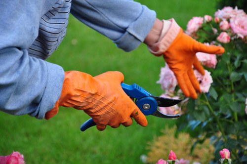 Gardener carrying out safe outdoor maintenance with protective awareness