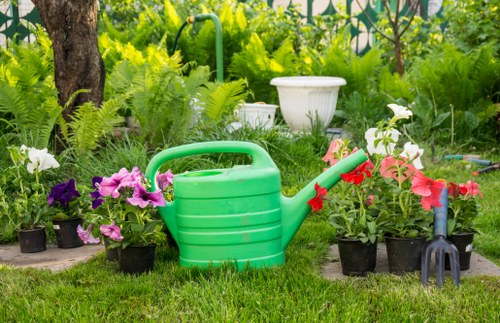 Seasonal planting and border maintenance by a West Wickham gardener