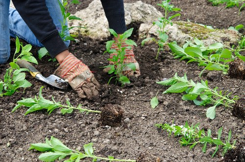 Overview of cookie categories used by Gardeners West Wickham