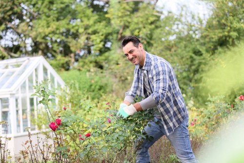 Weed control and hedge trimming for a well-kept West Wickham garden