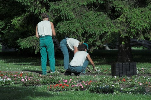 Screen-reader support and readable gardening website content