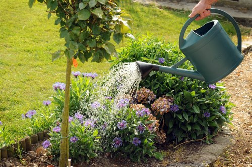 Professional lawn repair and upkeep in West Wickham