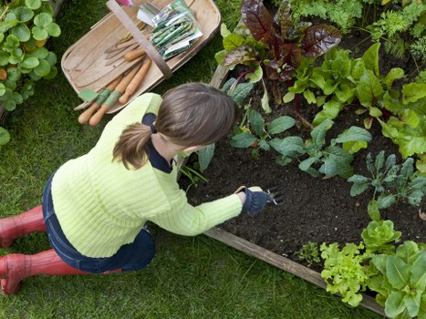 Professional garden waste removal and tidy-up in West Wickham
