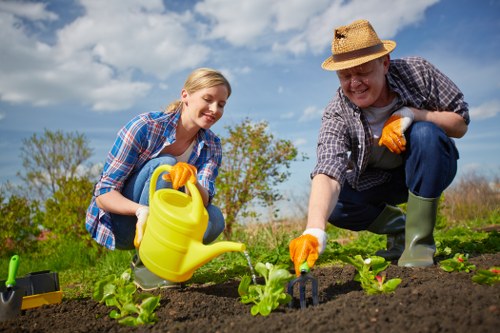Professional West Wickham garden maintenance for borders and shrubs