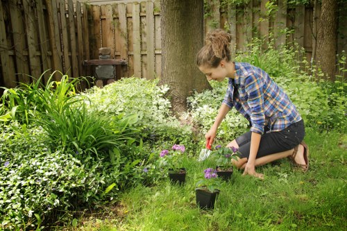 Seasonal planting scheme for a West Wickham garden