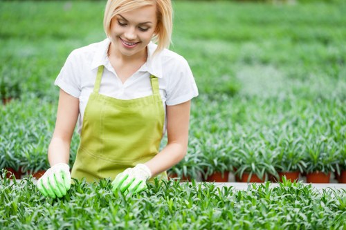 West Wickham gardeners caring for flower borders and lawn