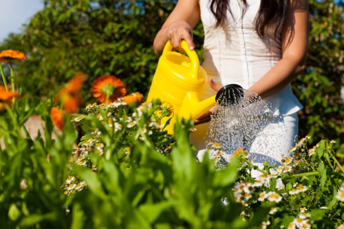 Well-maintained garden borders and lawn in West Wickham