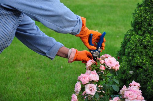 Seasonal lawn maintenance in West Wickham garden setting