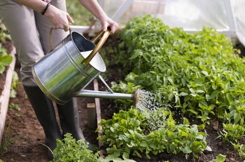 Free quote policy for West Wickham gardening services