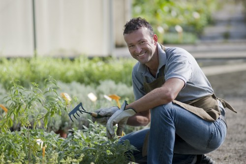 Soft landscaping garden beds and lawn design in West Wickham