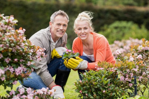 Garden clearance and tidy-up service for a West Wickham outdoor space