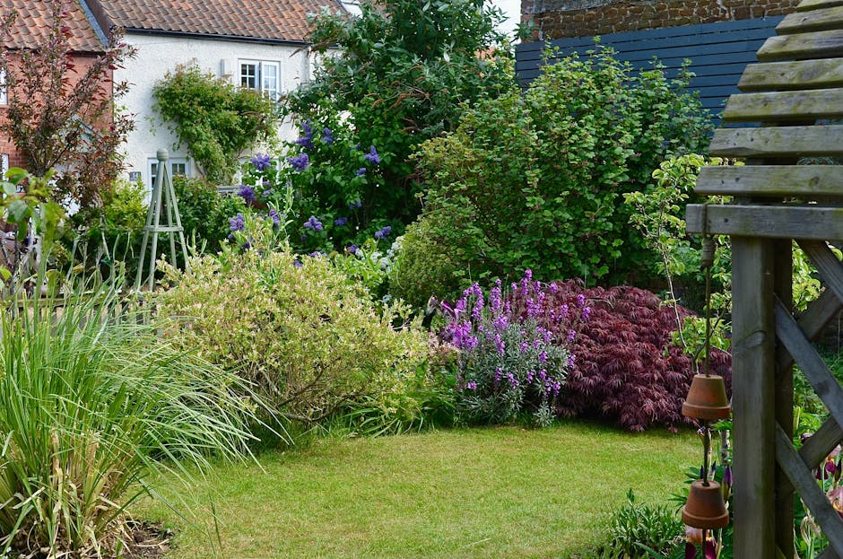 A well-maintained garden featuring a lush, green lawn with neatly trimmed grass in the foreground, bordered by a variety of mature shrubs and plants including broad-leaved hostas and ornamental grasse